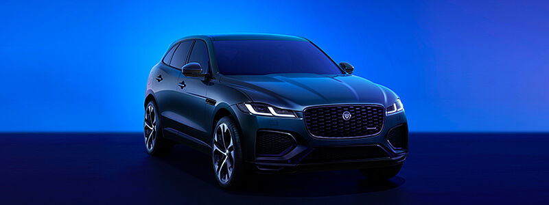 ERVAAR DE VERNIEUWDE F PACE 